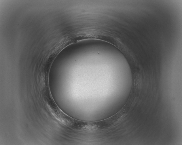 X0000076420213200610161135