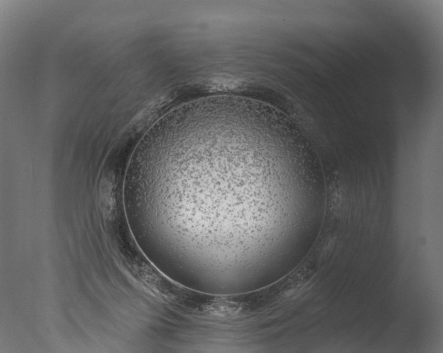 X0000076420215200610161135