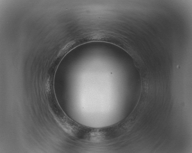 X0000076420216200610161135