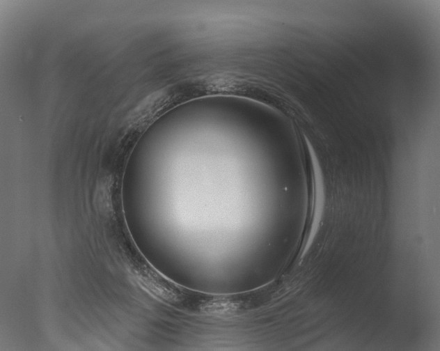 X0000076420217200610161135