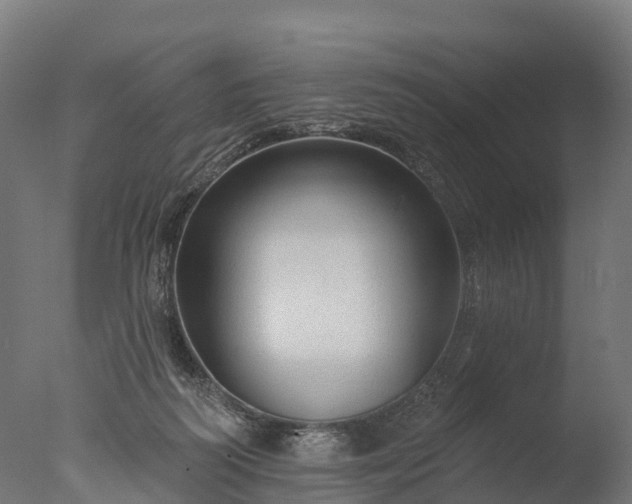 X0000076420218200610161135