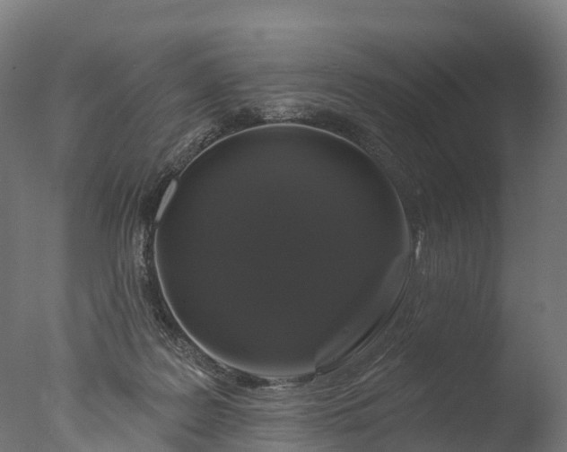 X0000076420219200610161135