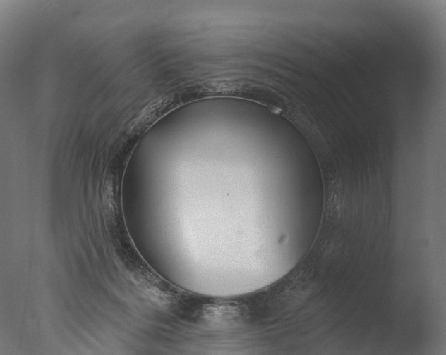 X0000076420220200610161135