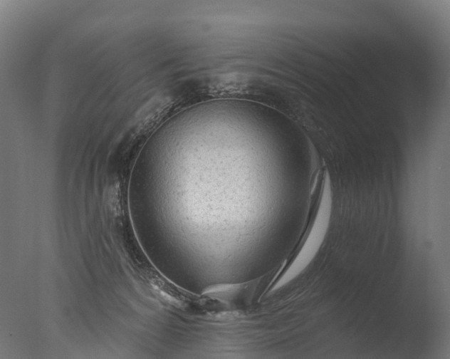 X0000076420224200610161135