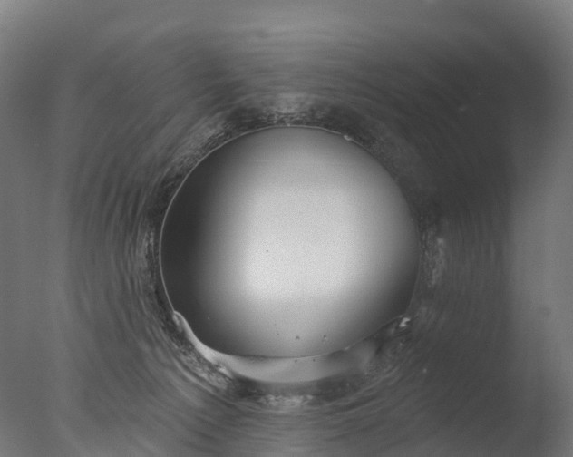 X0000076420225200610161135