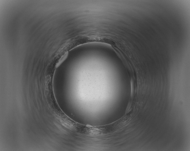 X0000076420229200610161135