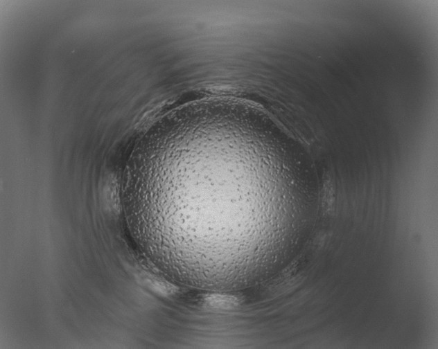 X0000076420234200610161135
