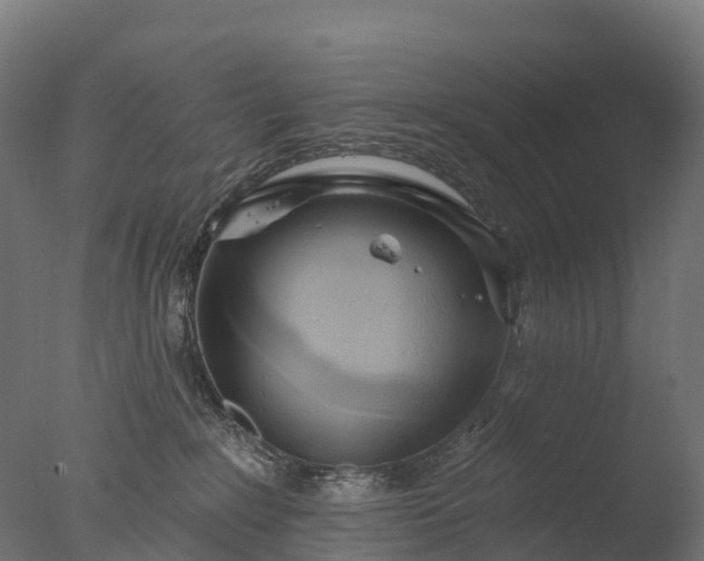 X0000076420235200610161135