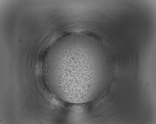X0000076420236200610161135