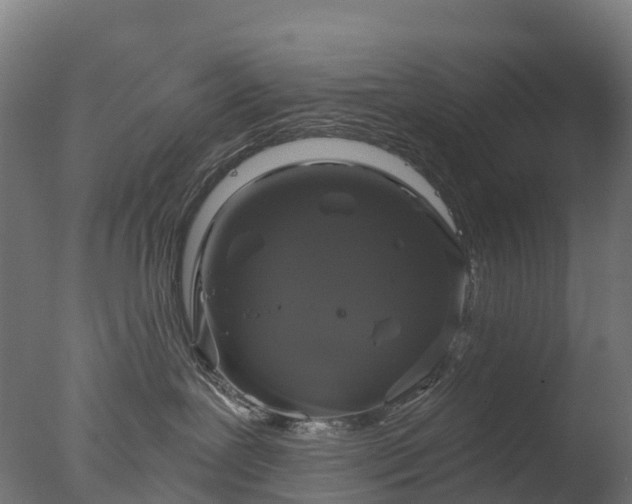 X0000076420239200610161135
