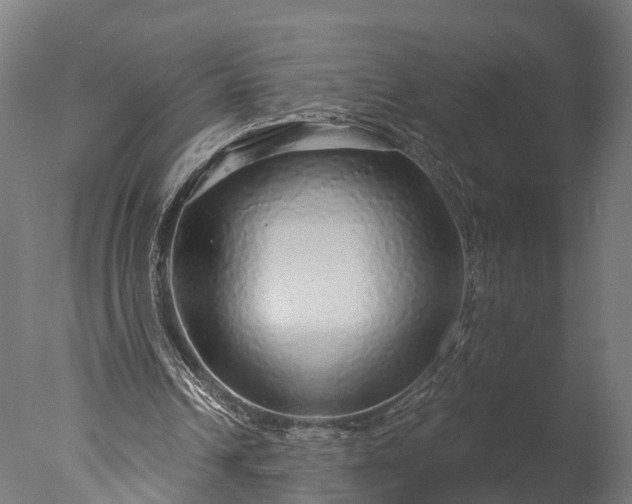 X0000076420242200610161134