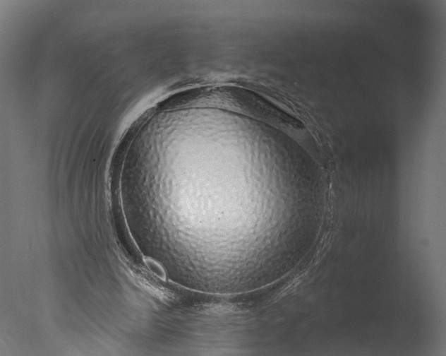 X0000076420246200610161134