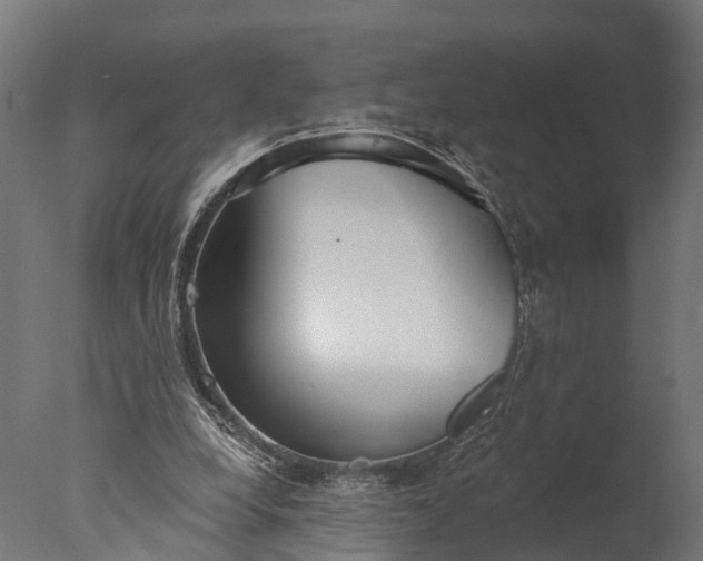 X0000076420248200610161134
