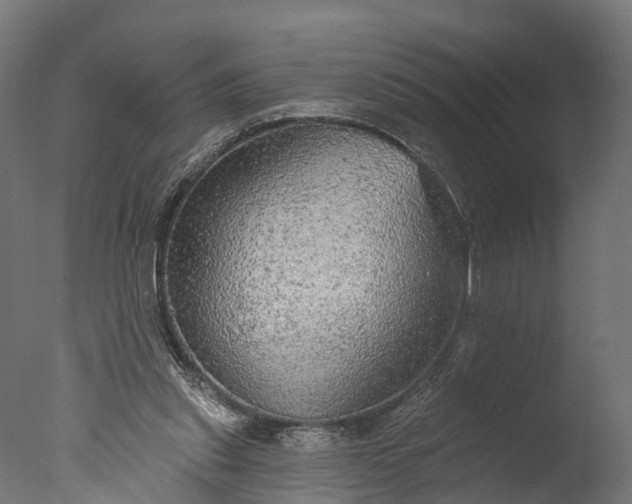 X0000076420253200610161134