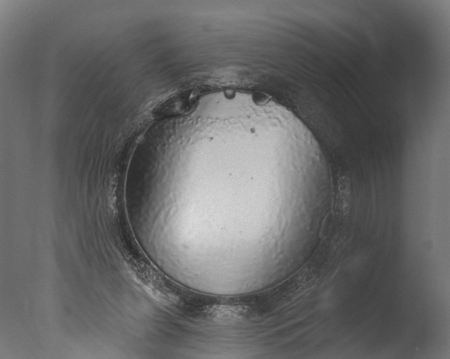 X0000076420255200610161134