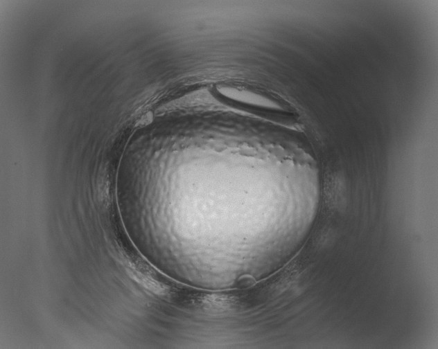 X0000076420261200610161134