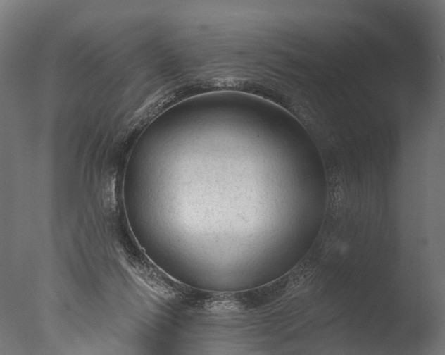 X0000076420262200610161134