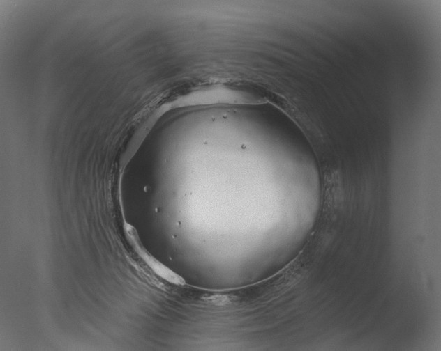 X0000076420269200610161134