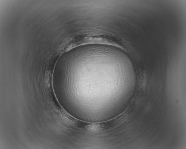 X0000076420273200610161134