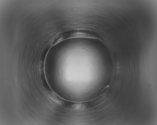 X0000076420275200610161134