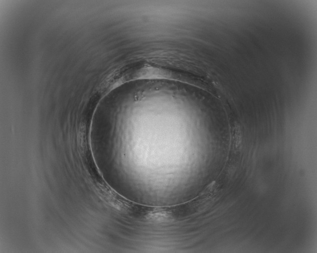 X0000076420283200610161134
