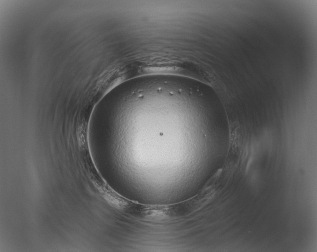 X0000076420285200610161134