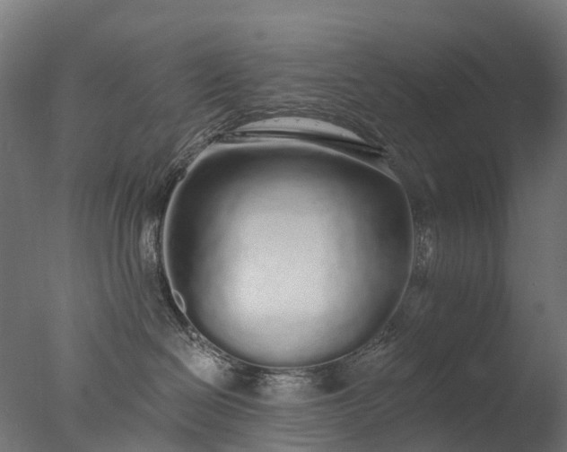 X0000076420286200610161134