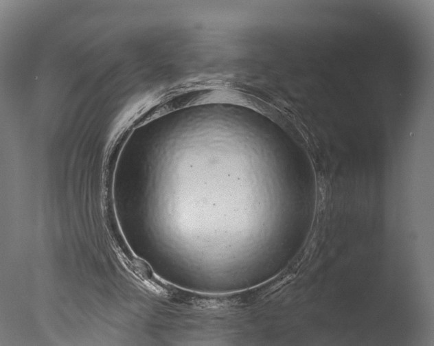 X0000076420293200610161134