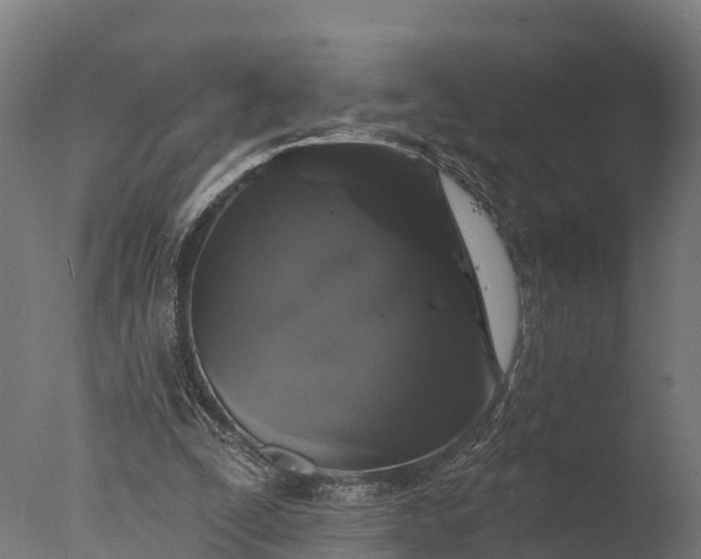 X0000076420295200610161134