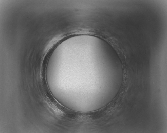 X0000076420296200610161134