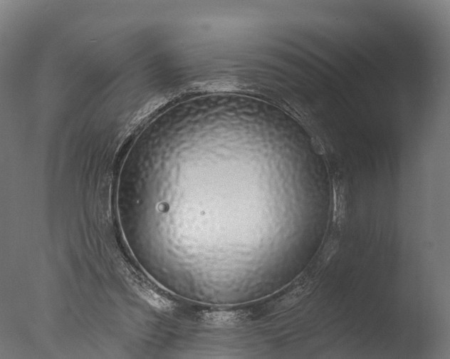 X0000076420301200610161134