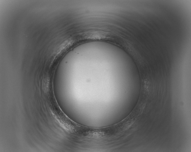 X0000076420304200610161133