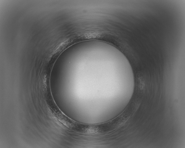 X0000076420308200610161133