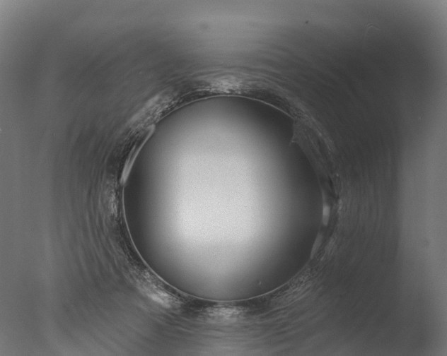 X0000076420313200610161133