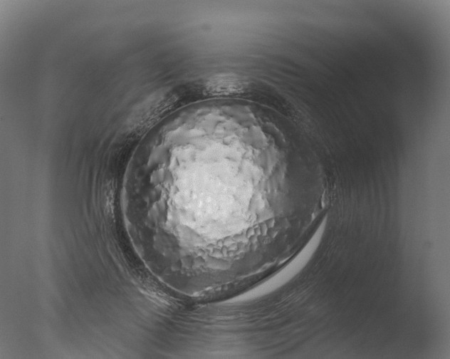 X0000076420315200610161133
