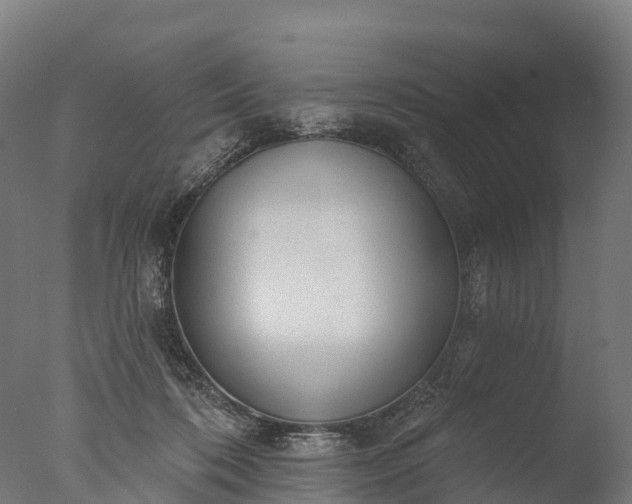 X0000076420316200610161133