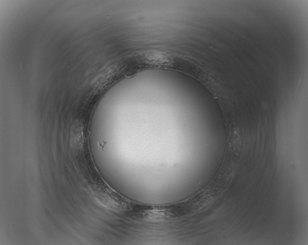 X0000076420320200610161133