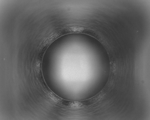 X0000076420321200610161133