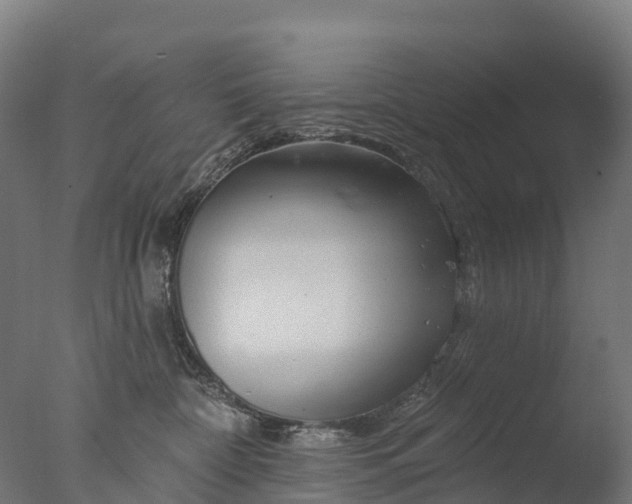 X0000076420332200610161133