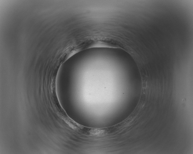 X0000076420334200610161133