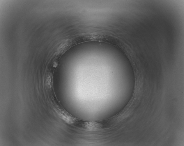 X0000076420336200610161133
