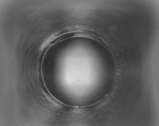 X0000076420341200610161132