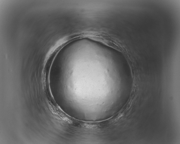 X0000076420343200610161132