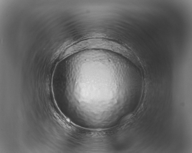 X0000076420345200610161132