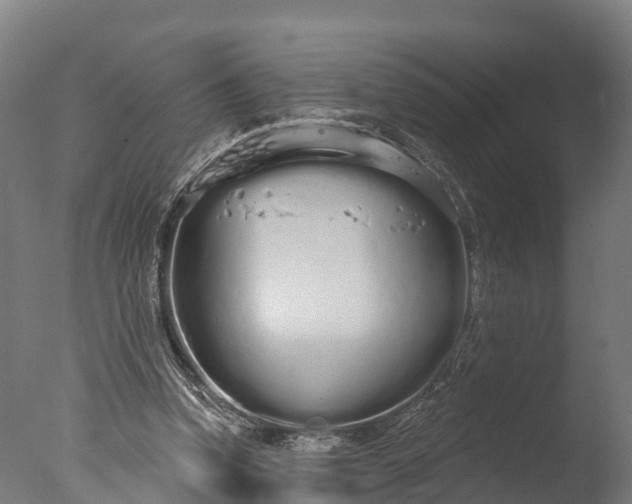 X0000076420346200610161132