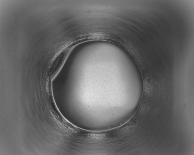 X0000076420347200610161132