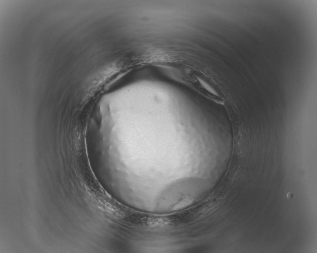X0000076420355200610161132