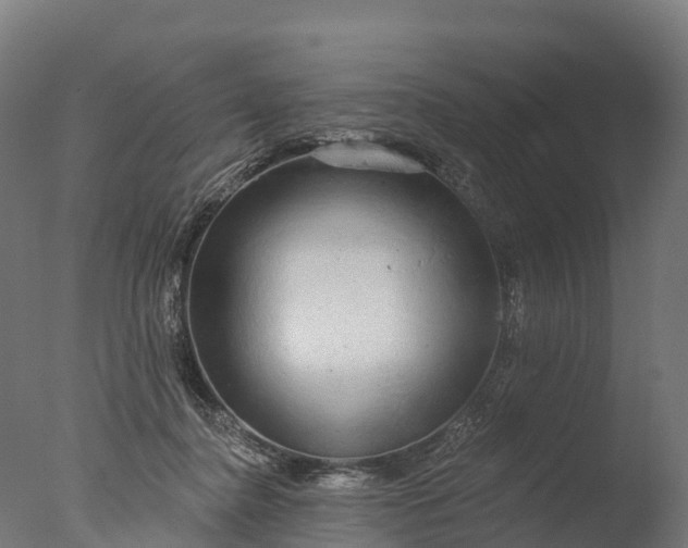 X0000076420364200610161133