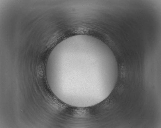 X0000076420370200610161133