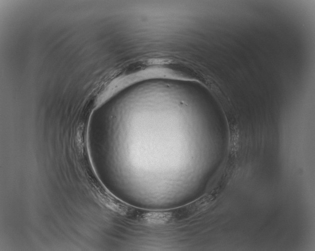 X0000076420373200610161133